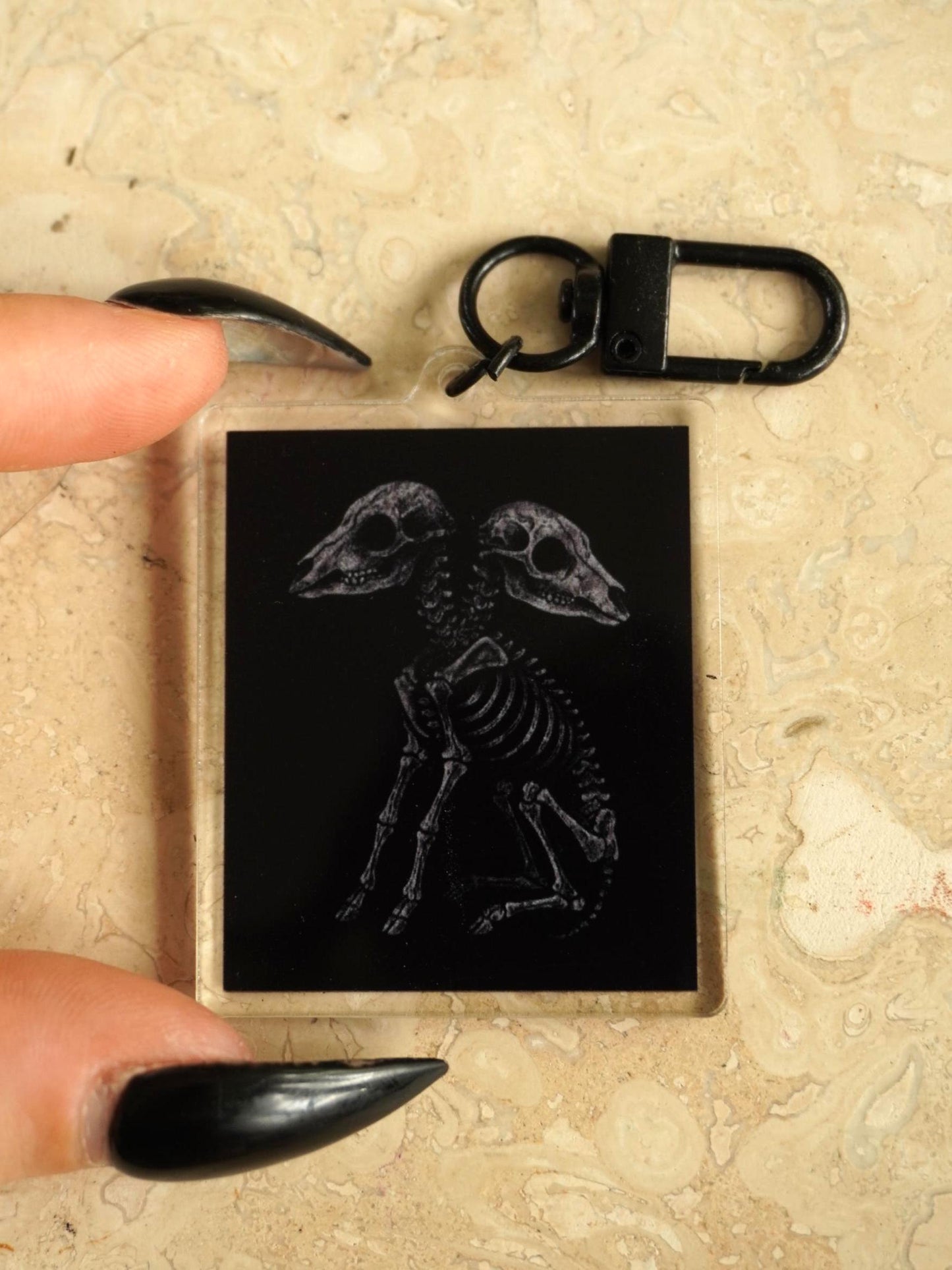 2 Headed Lamb Skeleton Acrylic Keychain