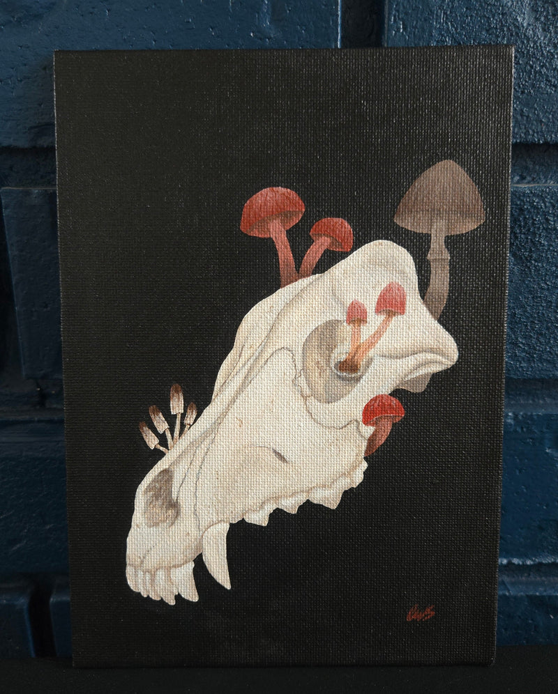 Canvas print of a skull with mushrooms on a dark background