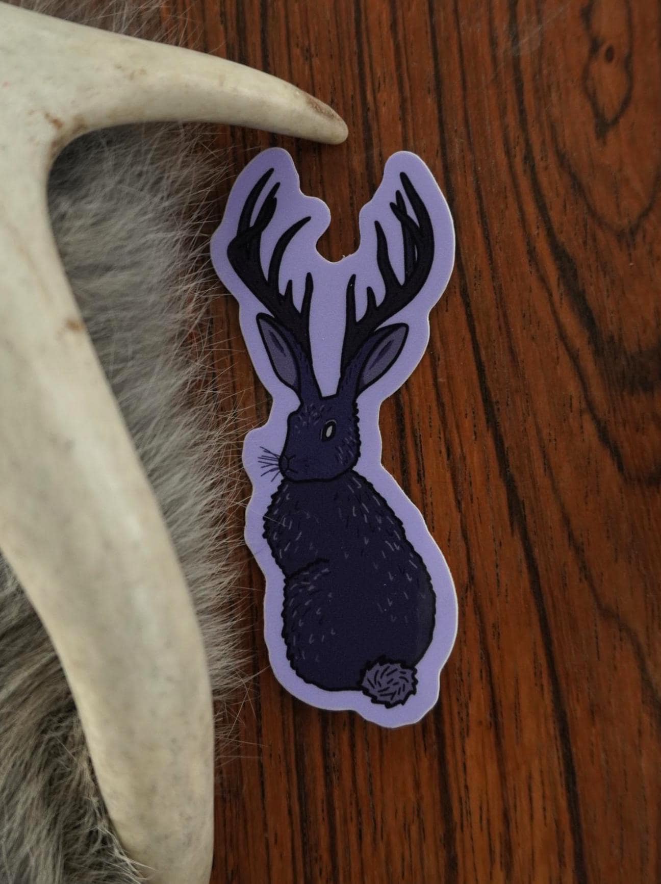 Jackalope Sticker