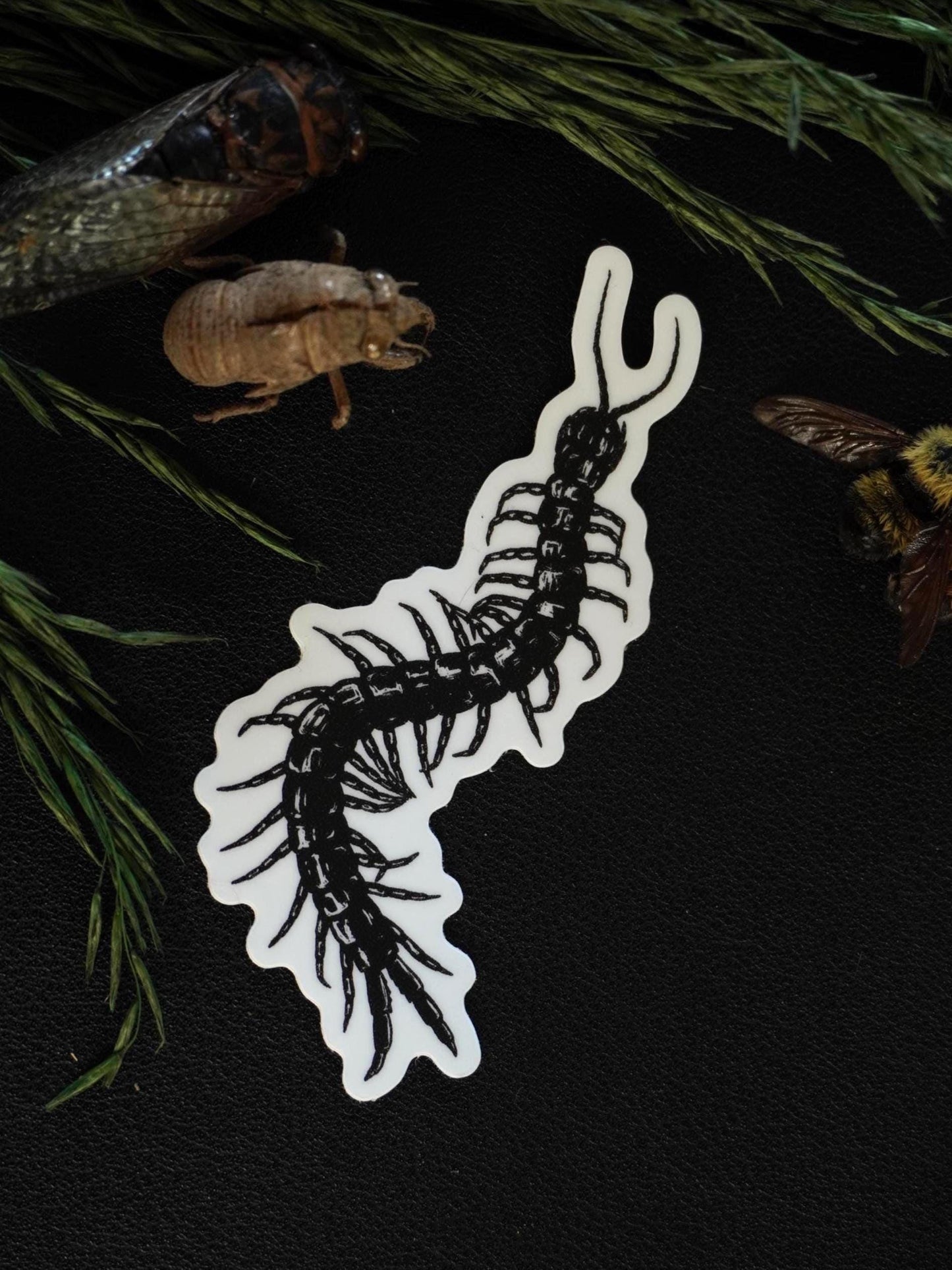 Centipede Sticker