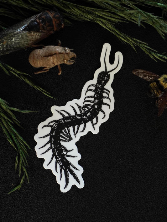 Centipede Sticker