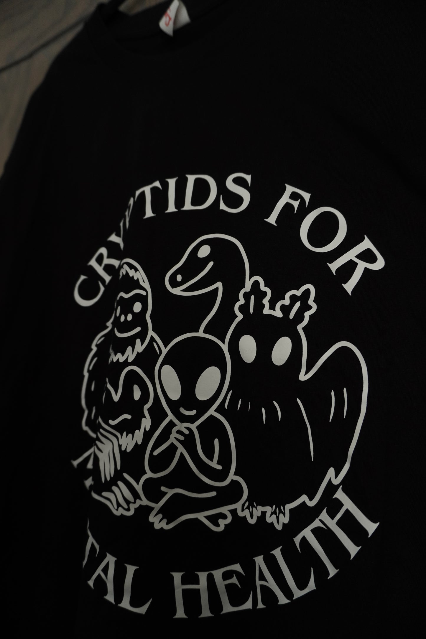 Cryptids For Mental Health T-Shirt - Black