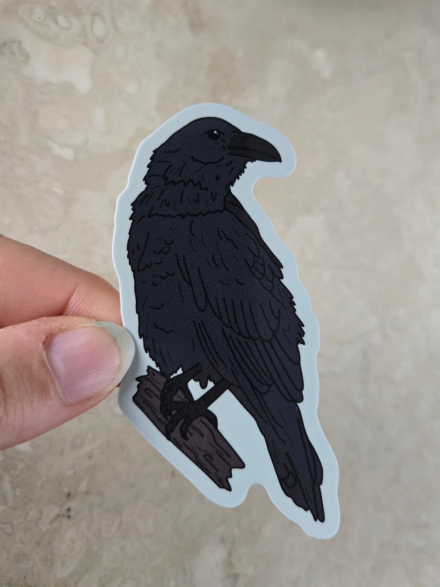 Raven Sticker