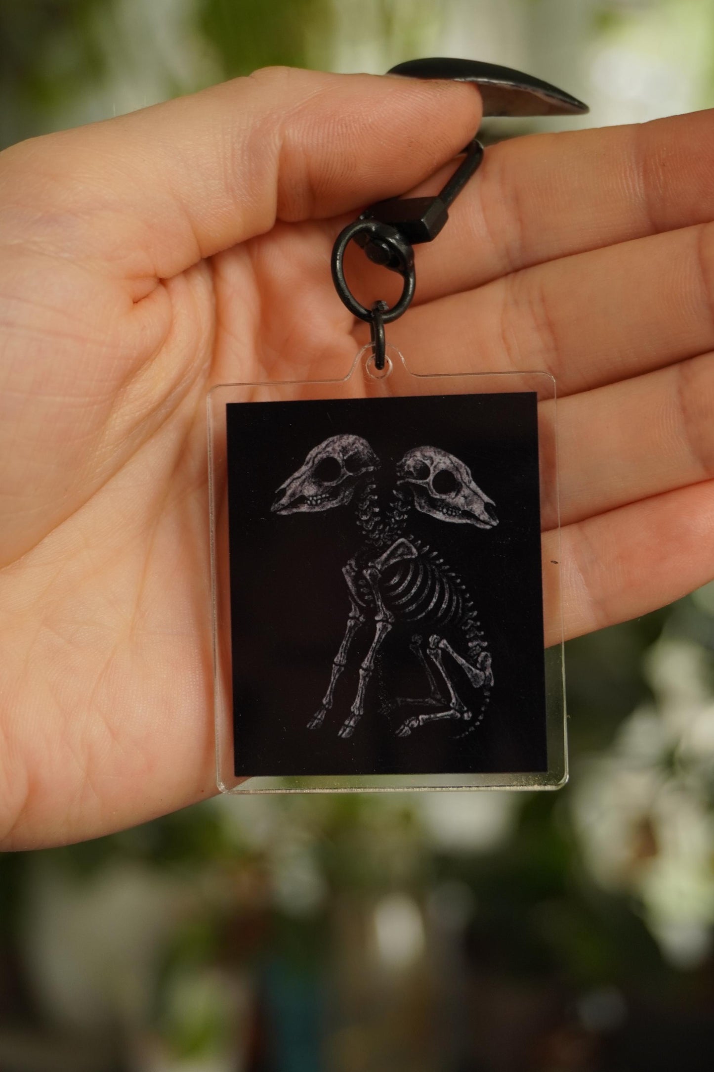 2 Headed Lamb Skeleton Acrylic Keychain