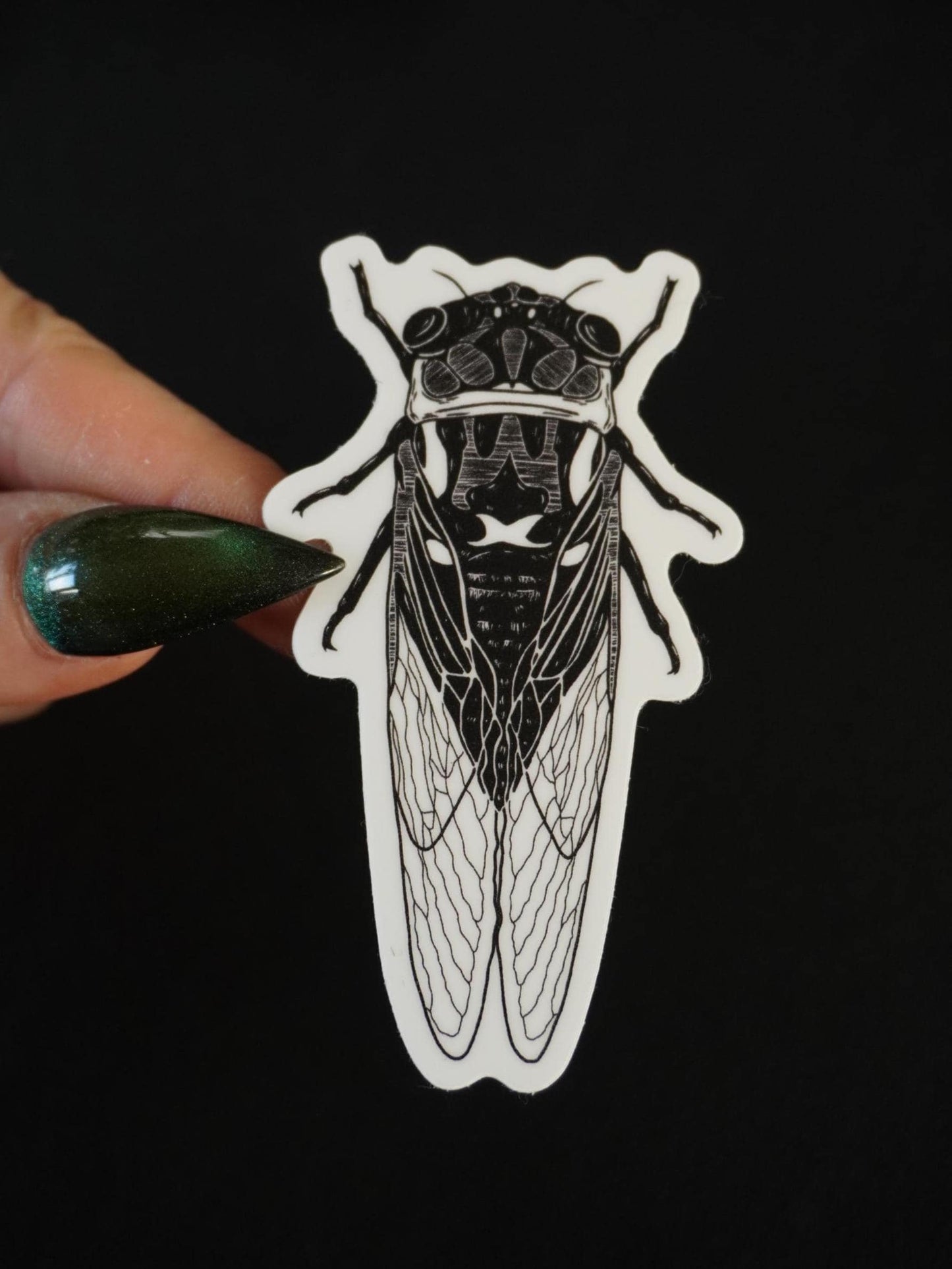 Cicada Sticker